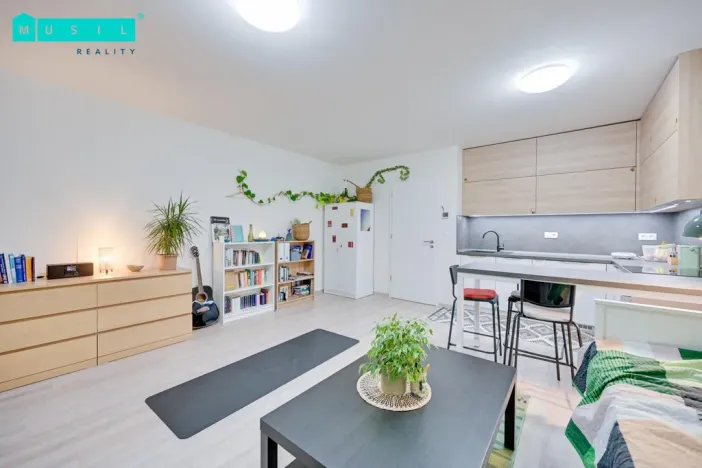 Pronájem bytu 1+kk, Uničov, Pionýrů, 30 m2