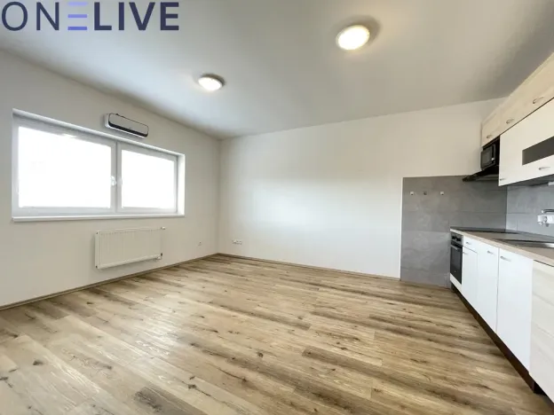 Pronájem bytu 2+kk, Radnice, Na Potocích, 49 m2