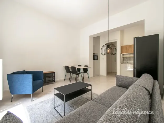 Pronájem bytu 2+kk, Praha - Vinohrady, Mánesova, 63 m2