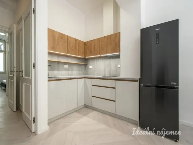 Pronájem bytu 2+kk, Praha - Vinohrady, Mánesova, 63 m2