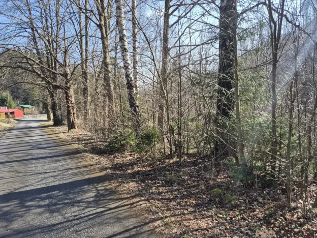 Prodej pozemku pro bydlení, Košařiska, 2189 m2