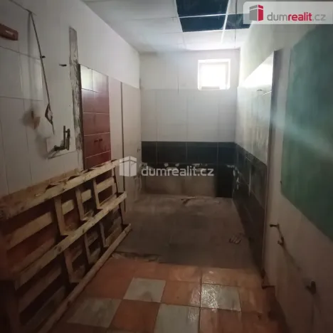 Prodej výrobních prostor, Děčín - Děčín VI-Letná, Dělnická, 1300 m2