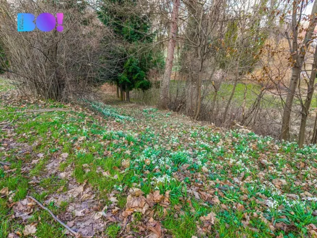 Prodej pozemku pro bydlení, Sedlnice, 970 m2