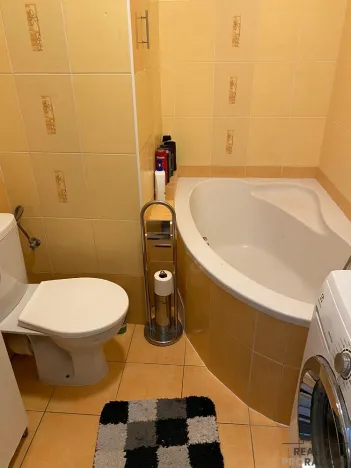 Pronájem bytu 1+1, Olomouc, Jílová, 32 m2