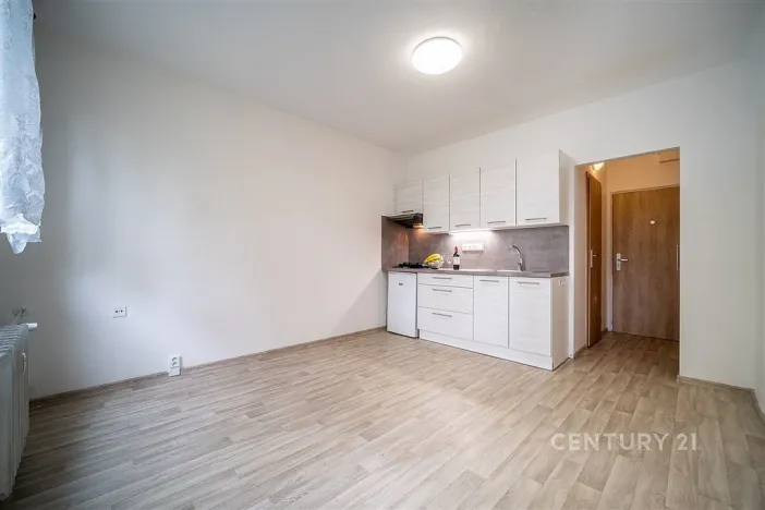 Pronájem bytu 1+kk, České Budějovice - České Budějovice 3, Plzeňská, 21 m2