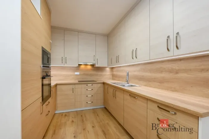 Pronájem bytu 2+kk, Plzeň - Jižní Předměstí, Železná, 73 m2