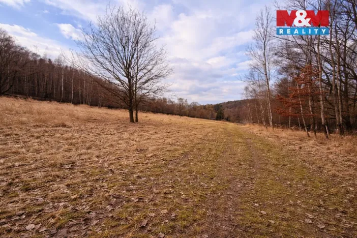 Prodej louky, Křečovice - Vlkonice, 68525 m2