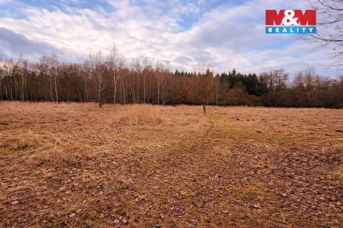 Prodej pozemku pro bydlení, Křečovice - Vlkonice, 68525 m2