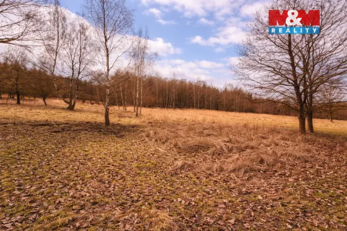 Prodej pozemku pro bydlení, Křečovice - Vlkonice, 68525 m2