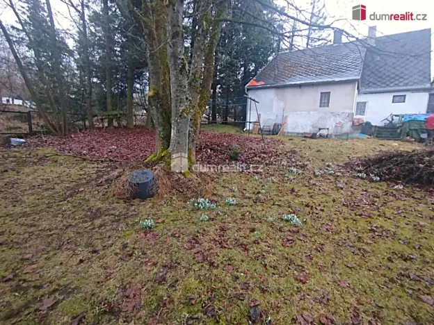 Prodej chalupy, Nová Ves v Horách, 162 m2