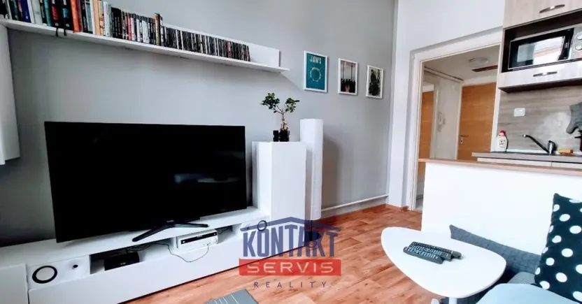 Pronájem bytu 1+1, České Budějovice, Resslova, 47 m2