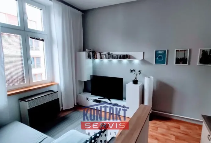 Pronájem bytu 1+1, České Budějovice, Resslova, 47 m2