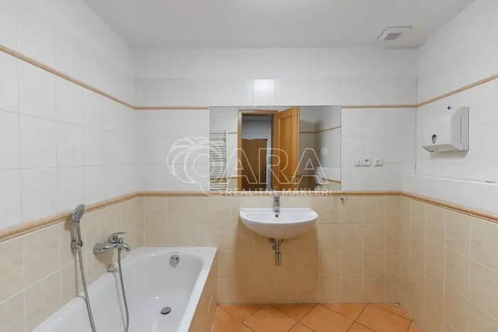 Pronájem bytu 3+1, Praha - Nové Město, Spálená, 127 m2