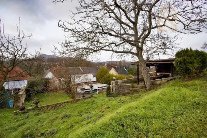Prodej rodinného domu, Velké Žernoseky, 5026 m2
