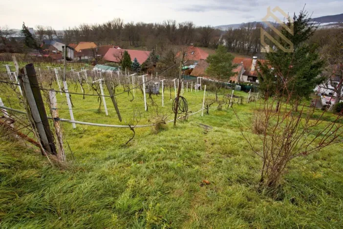 Prodej rodinného domu, Velké Žernoseky, 5026 m2