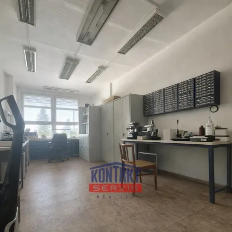 Pronájem kanceláře, České Budějovice, Rudolfovská tř., 225 m2