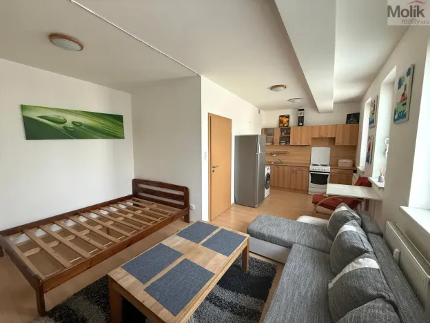 Pronájem bytu 1+kk, Most, Radniční, 32 m2