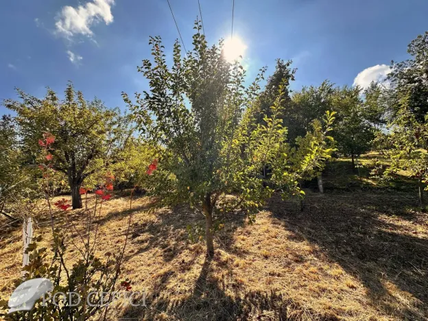 Prodej chaty, Lysice, 70 m2