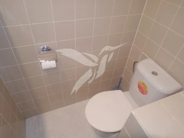 Pronájem bytu 1+kk, Plzeň, Tachovská, 27 m2