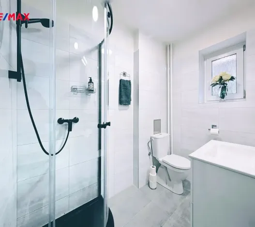 Pronájem bytu 2+1, Praha - Dejvice, Zelená, 58 m2