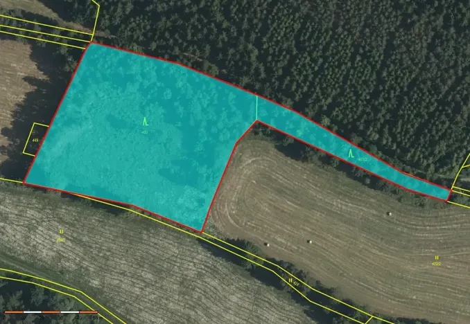 Prodej lesa, Strmilov, 8914 m2