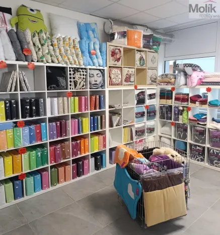 Pronájem obchodního prostoru, Louny, Husova, 172 m2