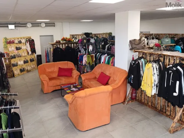 Pronájem obchodního prostoru, Louny, Husova, 172 m2