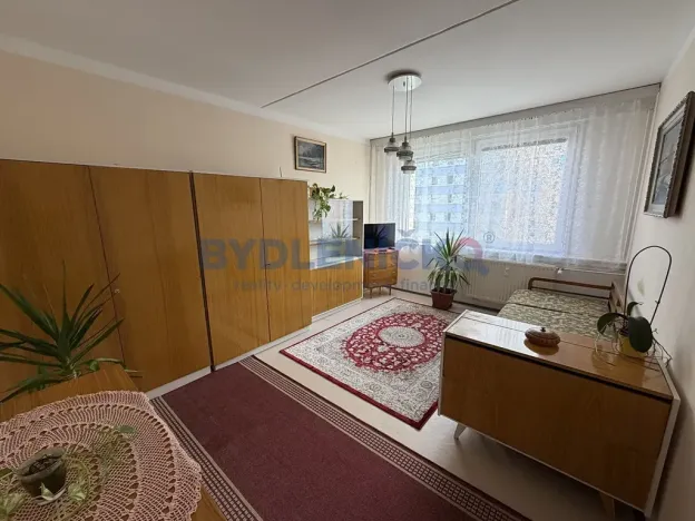 Prodej bytu 1+1, České Budějovice, Prachatická, 31 m2