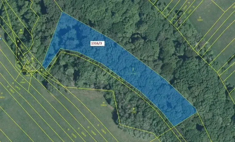 Dražba lesa, Velký Ořechov, 5461 m2