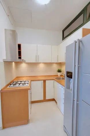 Prodej bytu 2+1, Brno, Rybářská, 72 m2