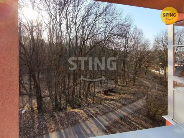 Pronájem bytu 1+1, Ostrava, Lužická, 38 m2