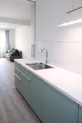 Pronájem bytu 2+kk, Praha - Žižkov, Pod lipami, 54 m2