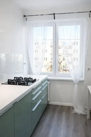 Pronájem bytu 2+kk, Praha - Žižkov, Pod lipami, 54 m2