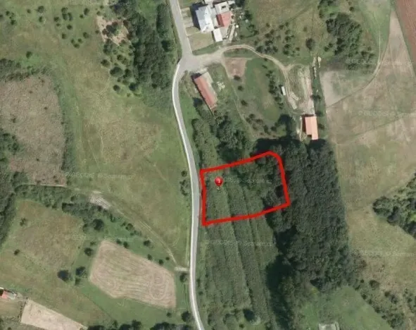 Pronájem louky, Košíky, 801 m2