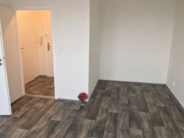 Pronájem bytu 1+1, Ostrava - Zábřeh, Horymírova, 33 m2