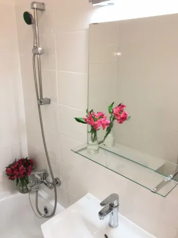 Pronájem bytu 1+1, Ostrava - Zábřeh, Horymírova, 33 m2