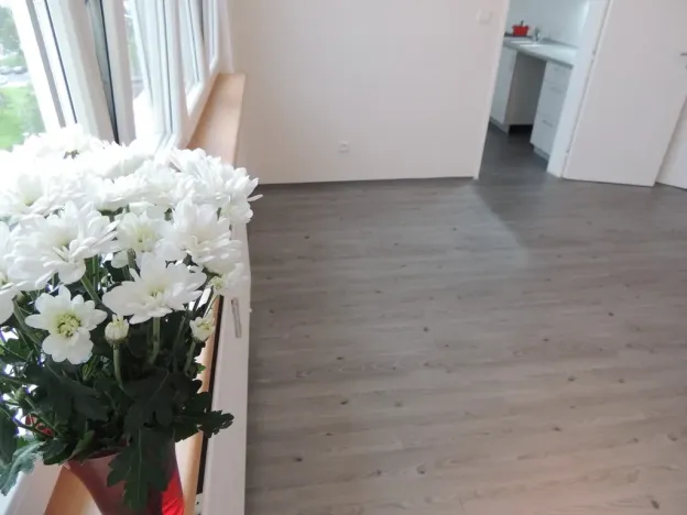 Pronájem bytu 2+1, Ostrava - Bělský Les, Ladislava Hosáka, 44 m2