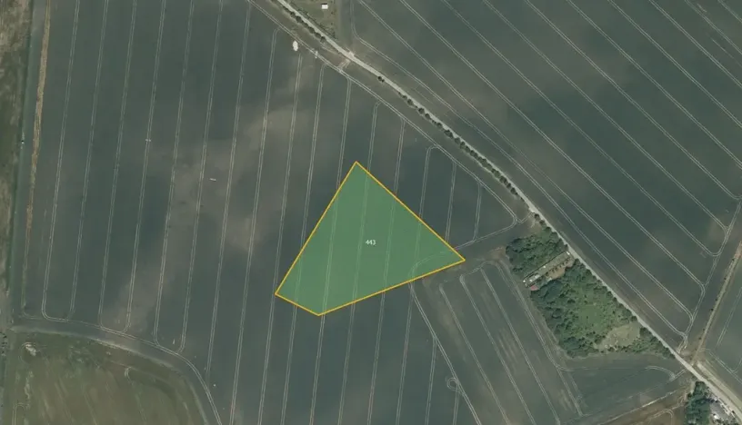 Prodej pole, Tuklaty, 19786 m2