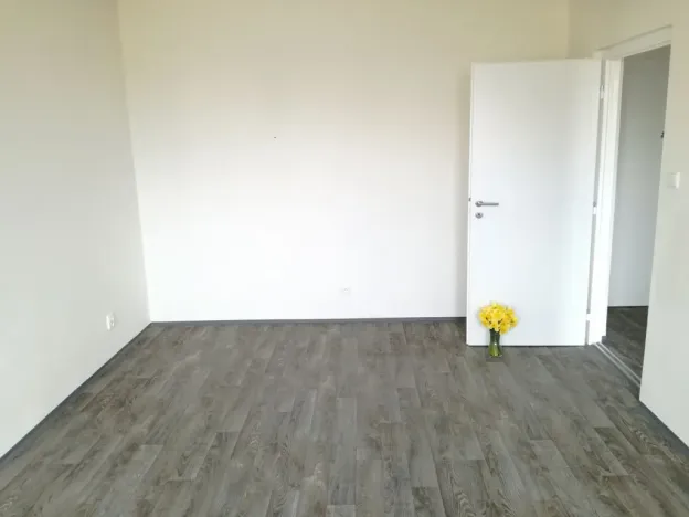 Pronájem bytu 1+1, Ostrava - Výškovice, Lužická, 39 m2