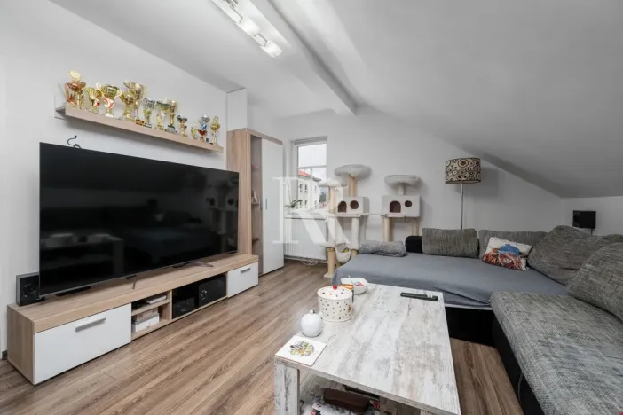 Prodej činžovního domu, Děčín, Březová, 347 m2