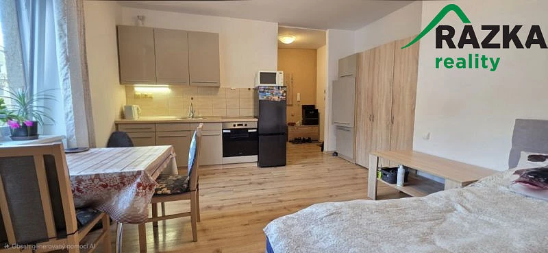 Pronájem bytu 1+kk, Tachov, Boženy Němcové, 27 m2