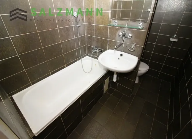 Pronájem bytu 1+1, Plzeň, K Pecím, 46 m2