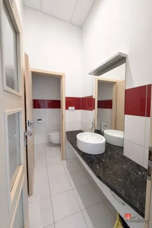 Pronájem kanceláře, Opava - Předměstí, Janská, 280 m2