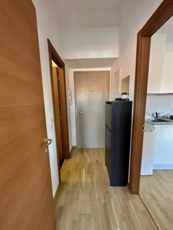 Pronájem bytu 3+kk, Praha - Vyšehrad, Neklanova, 60 m2
