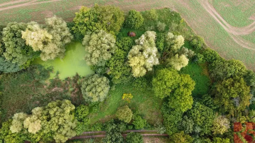 Prodej rodinného domu, Chabeřice - Holšice, 188 m2