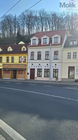 Prodej rodinného domu, Teplice, Laubeho náměstí, 425 m2