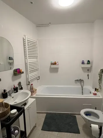 Pronájem bytu 2+1, Teplice, Lípová, 80 m2