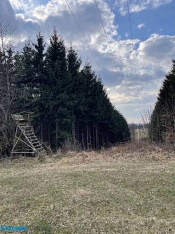 Prodej lesa, Horní Heřmanice, 51563 m2