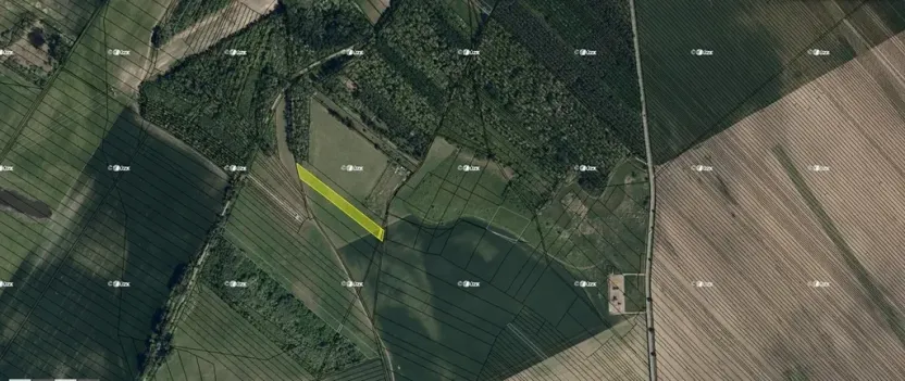 Prodej pole, Dubňany, 4970 m2