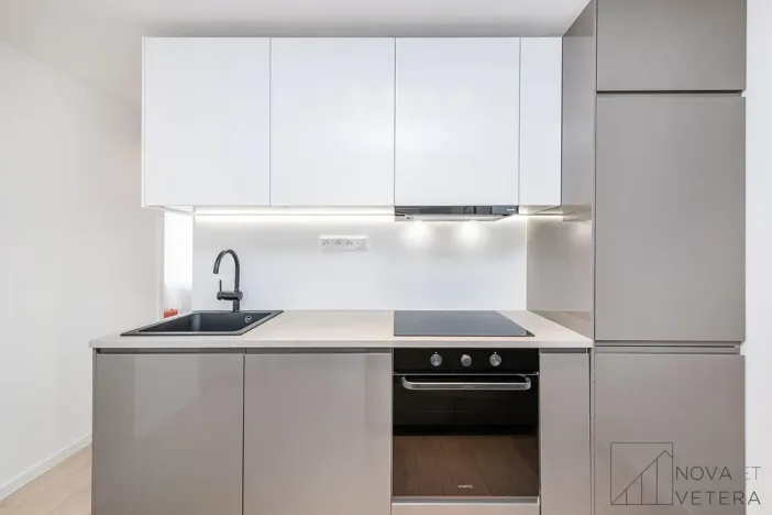 Prodej bytu 4+kk, Praha - Žižkov, Pod lipami, 75 m2